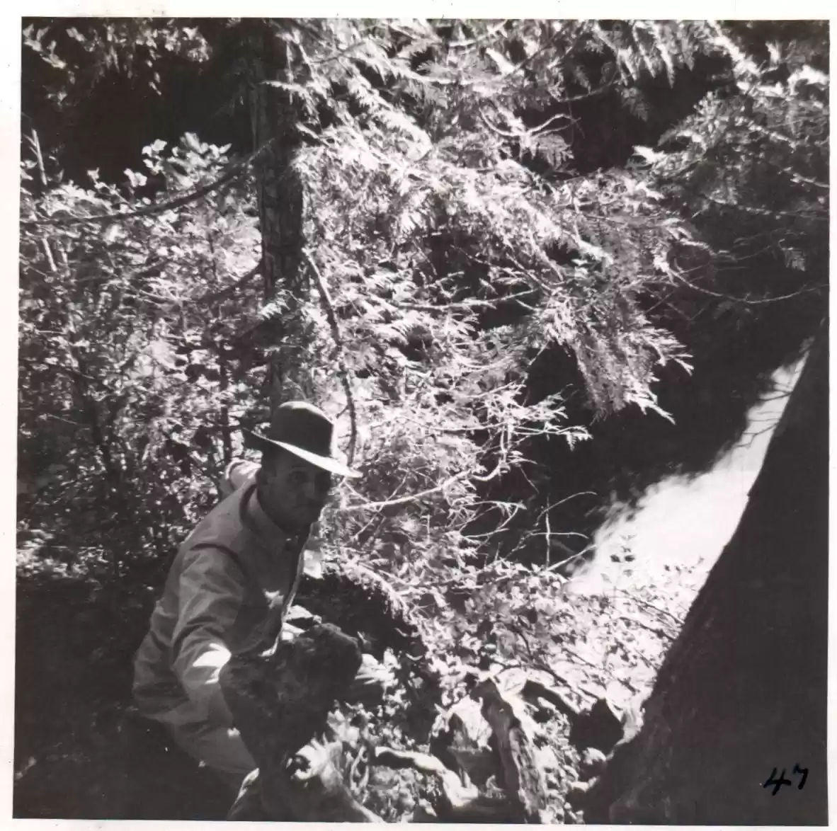 47 - Feast at Belknap Springs, OR